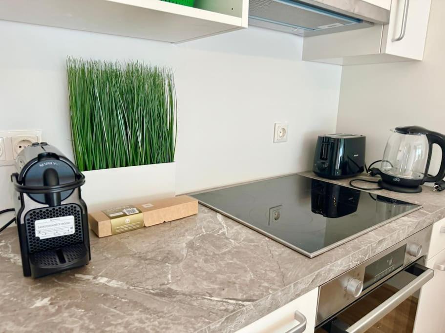 Rooftop Apartment With Balcony & Free Parking ウィーン エクステリア 写真
